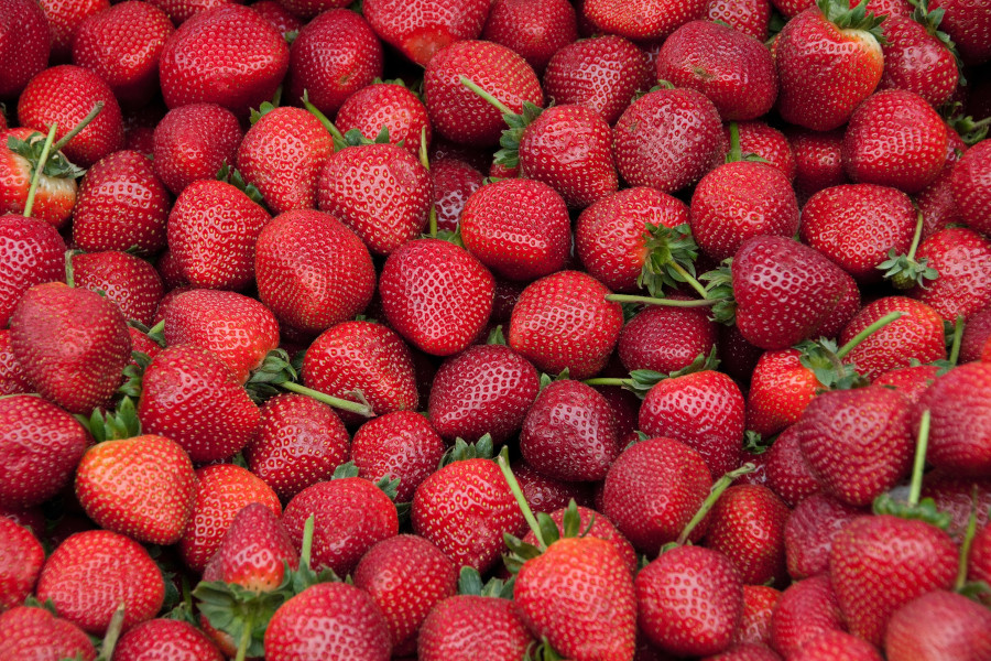 How strawberries can prolong your life
